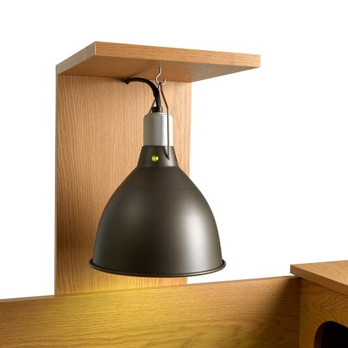 Tortoise Table Set Up